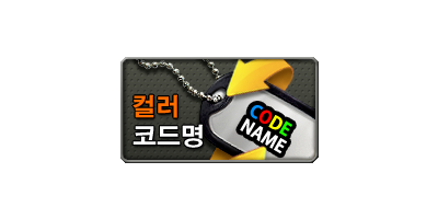컬러코드명 (3일)